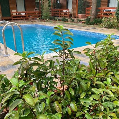 Tatil Keyfi Motel Kocaeli Eksteriør billede